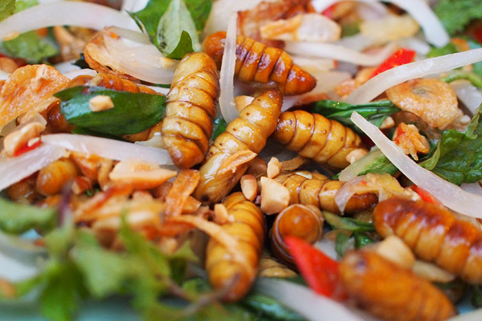 cuisine laotienne atypique chenilles larves vers 
